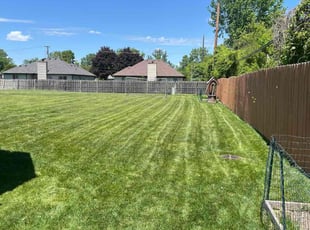 Denise D.'s Lawn Care service result
