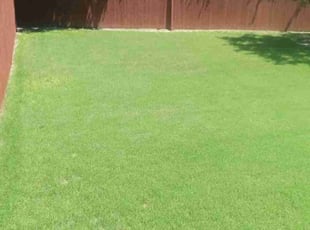 Kim R.'s Lawn Mowing service result