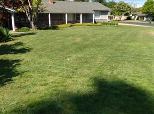 Cleanups by Paul Johnson for Rusty C. in Sacramento, CA