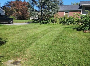 Rhea T.'s Lawn Care service result