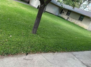 Ricardo S.'s Lawn Maintenance service result