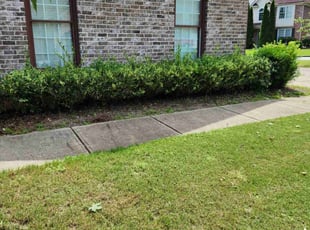 Weeding by Errick Perrin for Roxanne F. in Loganville, GA