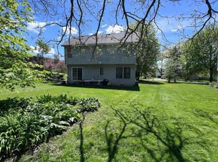 Tracy B.'s Lawn Mowing service result