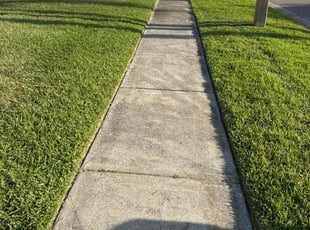 Sharon M.'s Lawn Service service result