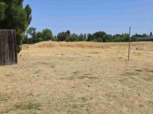 Cleanups by justin ahrens for Camilla P. in Galt, CA