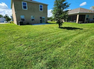 Jiselle P.'s Lawn Mowing service result