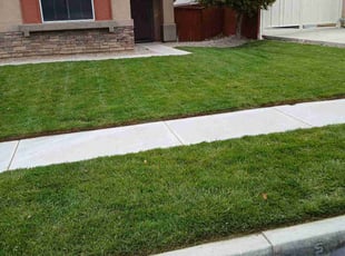 Mary P.'s Lawn Maintenance service result