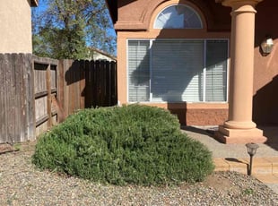 Bush Trimming by Hugo Lopez for Nayeli F. in Murrieta, CA