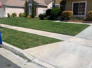Estelle F.'s Yard Cutting service result