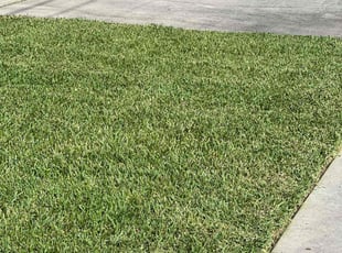 Henry W.'s Lawn Care service result