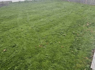 Jack T.'s Lawn Service service result