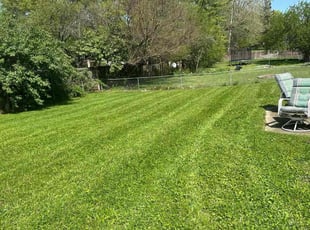 Merilee J.'s Grass Cutting service result