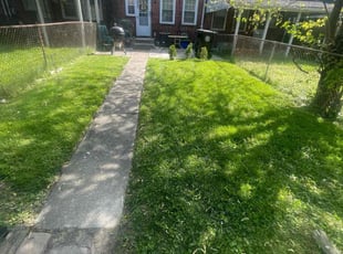 Michele C.'s Lawn Service service result