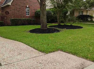 Victor R.'s Lawn Service service result