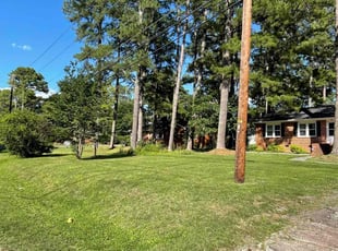 Tye W.'s Lawn Care service result