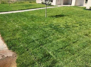 David L.'s Lawn Service service result
