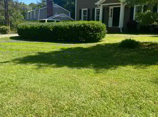 Russell J.'s Lawn Mowing service result