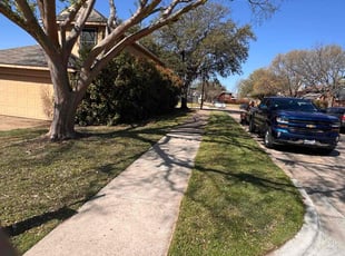 Philip M.'s Lawn Mowing service result