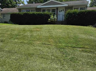 Marcy E.'s Lawn Care service result