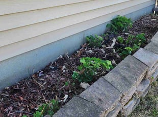 Carrie G.'s Flower Bed Weeding service result