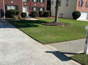 Clarence J.'s Lawn Care service result