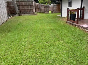 Sally W.'s Lawn Mowing Service service result