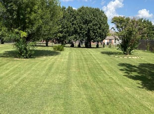 Tin M.'s Lawn Maintenance service result