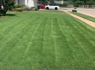 Poppi B.'s Lawn Care service result
