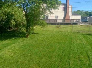 Matthew P.'s Lawn Care service result