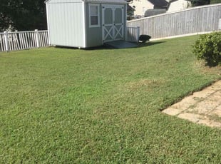 Diann S.'s Lawn Maintenance service result
