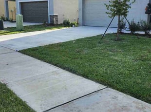 Patty N.'s Lawn Service service result