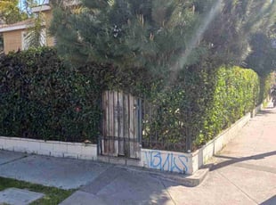 Bush Trimming by Jose Martinez for Bo H. in Los Angeles, CA