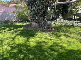 Terry W.'s Lawn Care service result