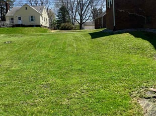 Bianca M.'s Lawn Mowing Service service result