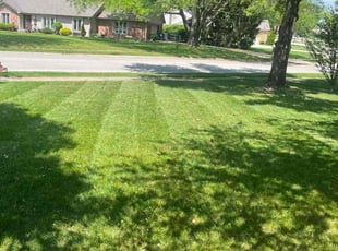 Tracy C.'s Yard Cutting service result