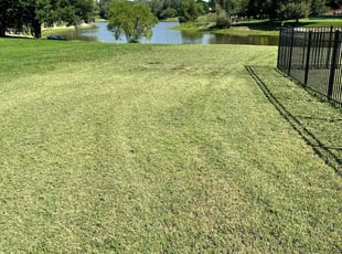 Beverly A w.'s Lawn Mowing service result
