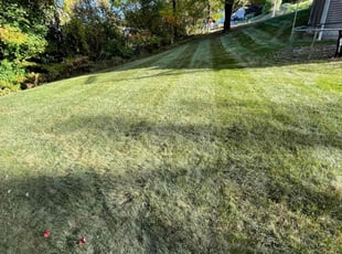 Mike B.'s Lawn Care service result