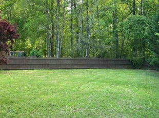 Charlene N.'s Lawn Mowing service result