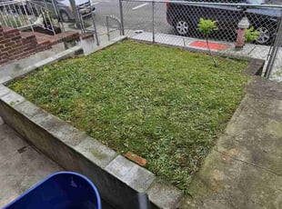 Jolie D.'s Lawn Mowing service result