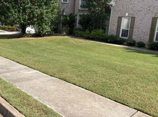 Angel J.'s Lawn Care service result