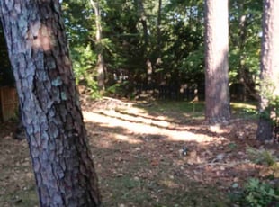 Cleanups by Jesse Blackshear for Brinda J. in Marietta, GA