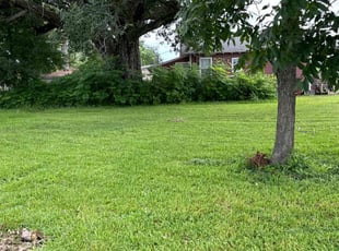 Hadar K.'s Grass Cutting service result