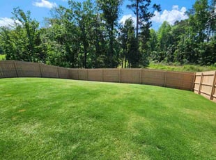 VINCENT G.'s Lawn Care service result