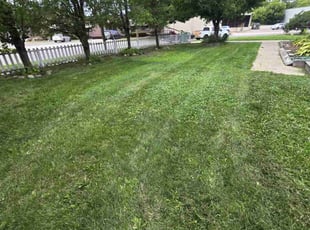 Johnnie B.'s Lawn Mowing service result