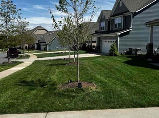 Luvinia D.'s Lawn Maintenance service result