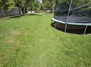 Jolie C.'s Lawn Care service result