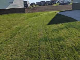 Aline A.'s Lawn Care service result