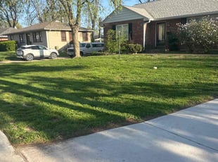 Anita B.'s Lawn Service service result
