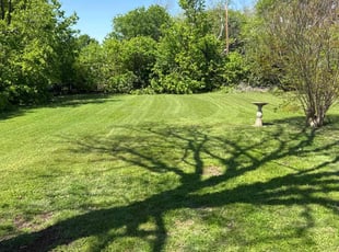 Dawn M.'s Grass Cutting service result