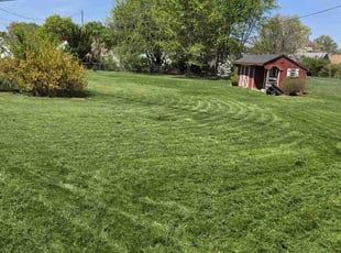 Ndelwa W.'s Lawn Care service result